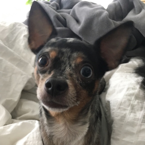 Meet your Posher, J. - Picture 1 of 1